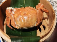 -南京大牌档(凯德大峡谷店)