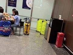 -麦当劳(北京大兴机场二层国内到达(安检外)店)