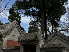 -北京凤凰岭