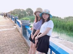 -合肥滨湖国家森林公园