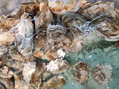 -沿海渔家院蒸汽海鲜·东北菜(东戴河店)