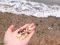 -青岛金沙滩