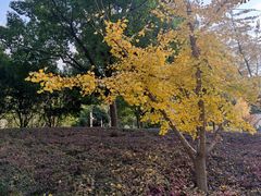 -苏州河梦清园环保主题公园