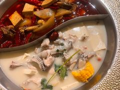 -麻田会 ·鲜活现烹·牛蛙火锅(珠江新城维家思广场店)