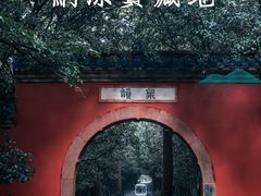 -灵谷景区