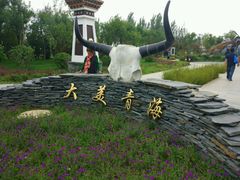 -武清南湖绿博园