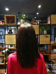 点击看大图 -藤野造型