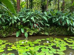 -中国科学院西双版纳热带植物园