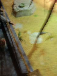 -酷嗒动物文化乐园(cutezoo西溪乐天城店)