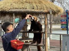 -水上乐园·欢乐世界