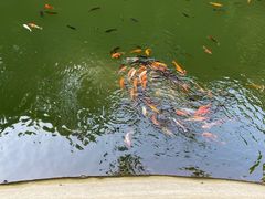 景点-广州市白云山风景名胜区
