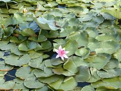 -天津东丽湖风景区