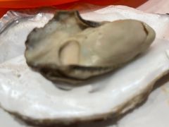 -杨氏青龙虾·羊蝎子(金盛路总店)