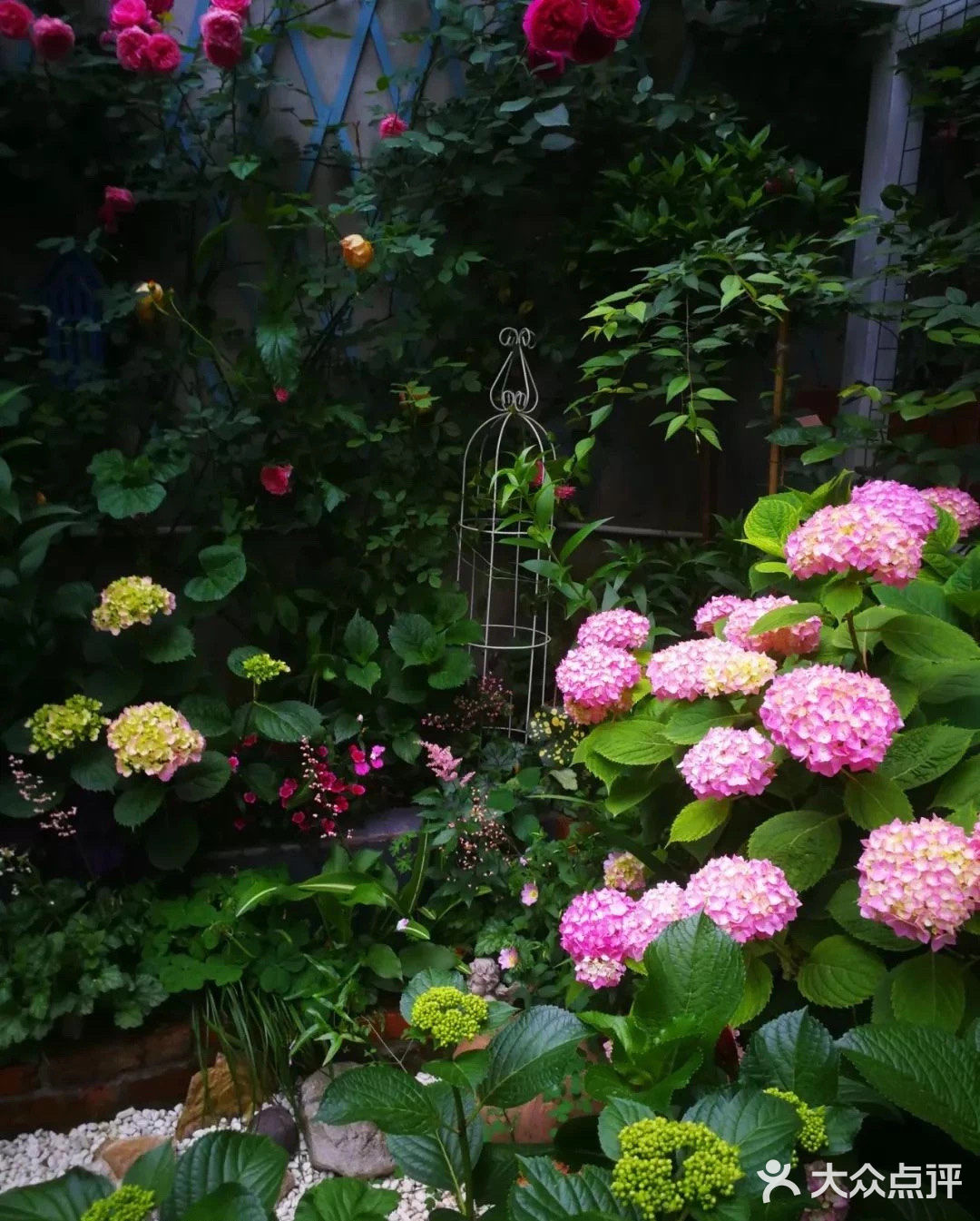 今日分享[礼花]为什么我要买顶楼？