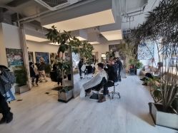 -Hair  Gallery
