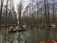 -渌洋湖湿地公园