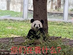 -西安秦岭野生动物园