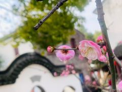 -檀园