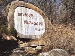 -白水寺森林公园