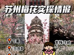 -苏州上方山国家森林公园