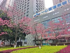 -茉甜手作·酸奶碗·手工糖水(日新店)