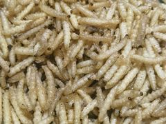 -银生食府·普洱菜(金星店)