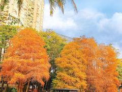 -四海公园(南山区)