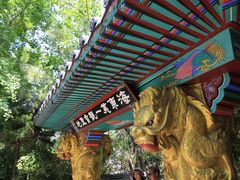 -海东龙宫寺