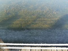 -苏州太湖湖滨国家湿地公园