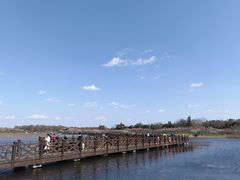 -上海海湾国家森林公园