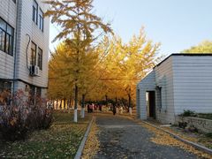 -辽宁大学(崇山校区)