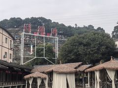 -南山植物园