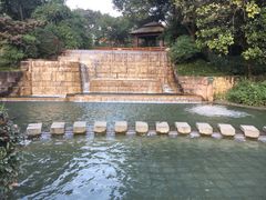-成飞公园