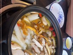 -蘑统田下·野生菌火锅