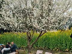 -中国天府农业博览园