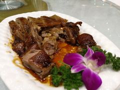 豉油马岗鹅-鹅城