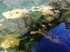 -山西通天峡景区