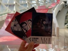 -凤凰中心