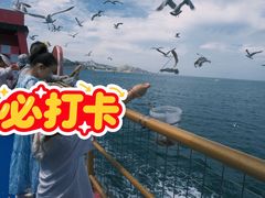-海驴岛(荣成市)