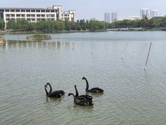 -江南大学(蠡湖校区)