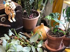 -About Bistro關於·泰式家庭料理