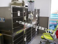-安安宠物医院(佳林路分院)