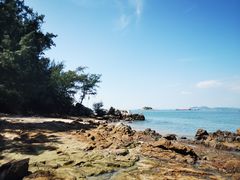 -广东惠东海龟国家级自然保护区