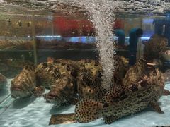 -阿伟海鲜楼·福建菜(延寿店)