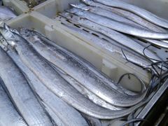 -恒达综合农贸市场(黄山路店)