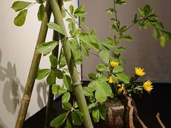 -北京三里屯CHAO酒店