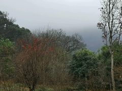 景点-普陀山风景名胜区-法雨禅寺