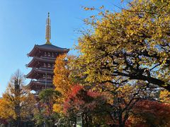 -浅草寺
