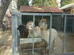 -意大利农场度假村