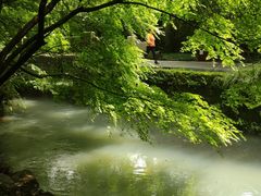 -龙井村